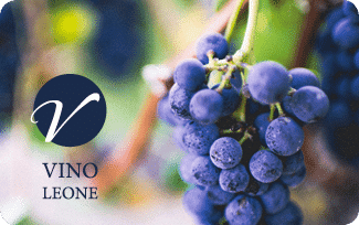 Anwendungsbeispiel29